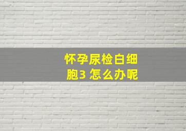 怀孕尿检白细胞3 怎么办呢